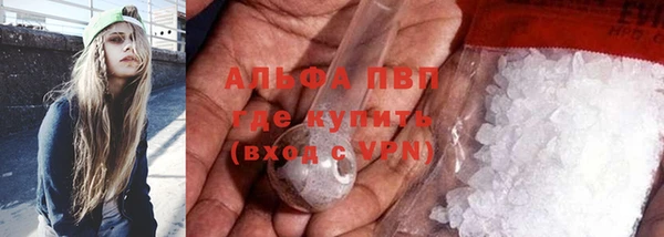 гидра Новозыбков