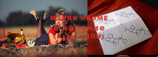 гидра Новозыбков