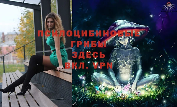 молекула духа Новокубанск
