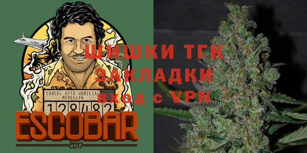 гидра Новозыбков