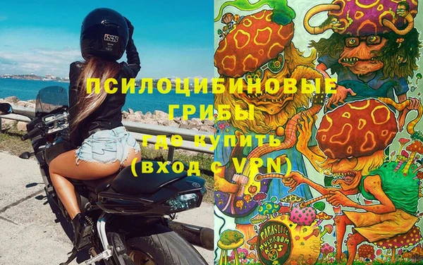 молекула духа Новокубанск