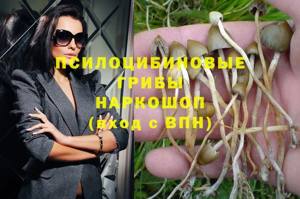 молекула духа Новокубанск