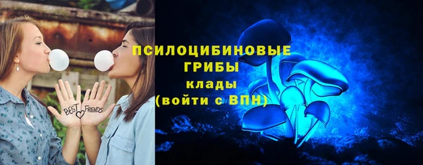 молекула духа Новокубанск